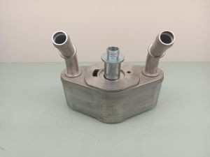 Type kern van de radiator met buisvlerk voor 2015-2020 Ford F150 motorkoeler BL3Z6A642G